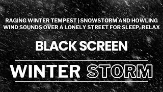 Raging Winter Tempest | Snowstorm and Howling Wind Sounds Over a Lonely Street for Sleep, relax