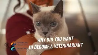 DVM Spotlight: Meet Dr. Kimberly Rios | Fear Free Veterinarian