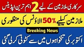 50% Special Allowance For Punjab Govt Employees | Professional Tax Deduction From Salary!