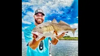 Yankeetown Big Reds, Snook, and Black Drum with JW Fishing Charters!