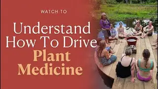 PREPARING for a DEEPER AYAHUASCA JOURNEY with Somatic Healing | Chen Lizra