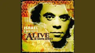 Alive (Live)