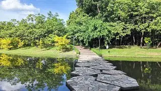 4K THAILAND WALK   BANGKOK Queen Sirikit Park Nature Walk