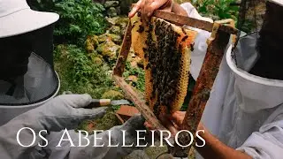 Os Abelleiros