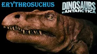 dinosaurs of Antarctica erythrosuchus screen time