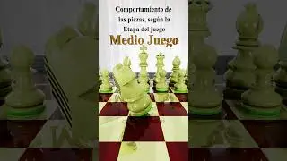 Etapas Caballo #chess #ajedrez #chessgame #horse