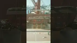 😱 Bulk carrier ⛴️ loading wheat cargo #bulkcarrier #shiplovers  #trending #viralshorts #merchant