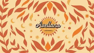 SOL FRAKTAL - Avellana (Audio)