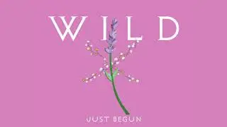 WILD  - 