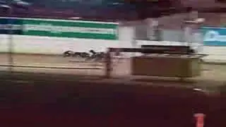 IRISH GREYHOUND DERBY FINAL 2007