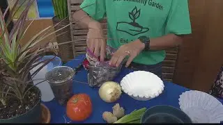 Makiki Community Garden Volunteer Workday