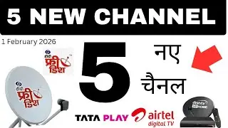 DD Free Dish Added 4 More New Channels Today Including GTC Punjabi || New Channels 1 February 2026