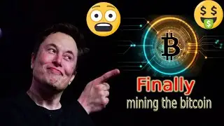 Elon Musk, Tesla, Block and Blockstream team up to mine bitcoin off solar power