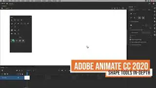 Adobe Animate CC 2020 - Shape Tools In-Depth