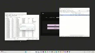 FiveM Hider Bypass PC Checks Showcase | ninez.gg