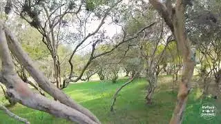 FPV TREINO RIO DE JANEIRO