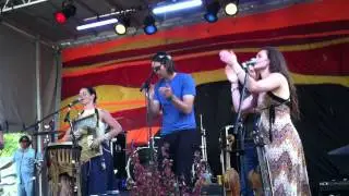 Elephant Revival in Palisade