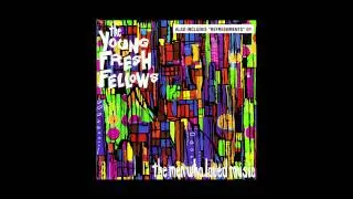 The Young Fresh Fellows -TV Dream-
