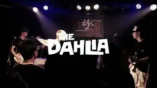 The Dahlia - Live at Kyoto 2025.05.17
