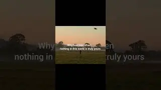 this is the truth #lofi #sunset #chill #music #sunrise #aestheticvideo #love #live  #videonotmine