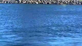 Wallis Lake Harbour, Forster Tuncurry
