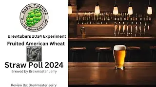 Brewtubers Experiment 2024 - Fruited American Wheat  - Straw Poll 2024