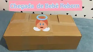 A Chegada do novo Beb&ecirc; Reborn 