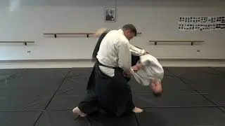 Aikido - Cool variation/connections to tenchi-nage