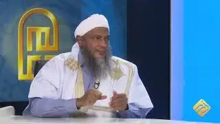 حكم المشاركة فيما يجري في اليمن  |  @dedewiat