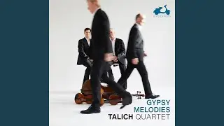 Sérénade Tzigane (Arr. for String Quintet by Tomáš Ille)