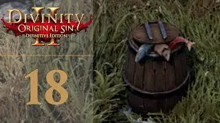 A Suspicious Barrel - Let's Play Divinity Original Sin 2: Definitive Edition - 18 [Classic - Solo]