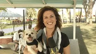 Dog Parks within the City of Tampa