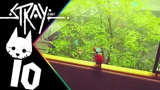 Wszystko takie same | Stray #10
