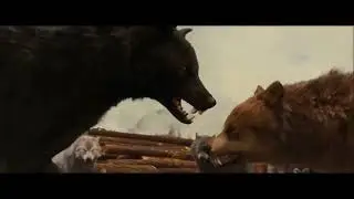 Twilight Wolves |Light Em Up - Fall out boy|