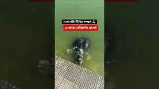 Joy Maa 🙏#udaipur #matabari #tripura #northeastindia #viralvideo #ytshorts #shortsfeed #trending