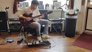 Electro-Harmoni C9 & Pog into Wet/Dry Mad Professor Amplification