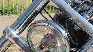 Perlglanz24 Perlglanz Hochleistungs Putzstein Chrom und Aluminium reinigen Harley Davidson