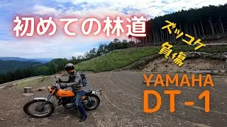 転倒 負傷 先輩が初林道へ逝く！静岡林道樫ノ木峠線 ヤマハDT-1  オフロードバイク 　KLX250 オクシズ ツーリング ソロ