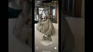 Create 3D Scans & AR Codes on Any iPhone or iPad &ndash; No LiDAR Needed | ar-code.com