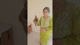 Bird Rescue, नन्ही चिड़िया, घोंसले से गिरी चिड़िया, Bird Rescue Story, Bird Care, पक्षी 