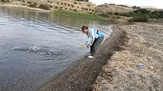 Havalar bozdu.Sazanlar şaşırdı.Kral aynalı (2.450 ) ve dahası...Carp fıshıng