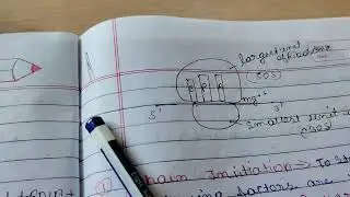 Translation process #easy explanation with notes