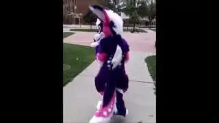 First Fursuit Outting