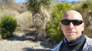 LIVE Cubicle Escape Nature Walk