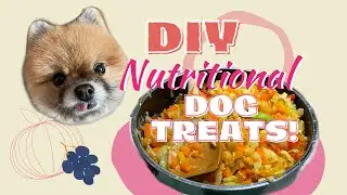 A Secret To How A 9-Year Old Dog Looks Young