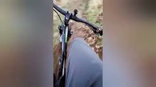 New BIke new trails RAW MTB sound