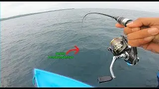 EXTREME ULTRALIGH!!! SAMBARAN BABON BIKIN JORAN UL MELENGKUNG TAJAM...