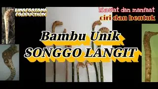 Bambu unik SONGGO LANGIT.ciri,bentuk dan penjelasannya