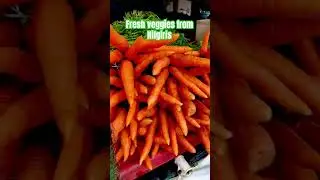 Fresh vegetables #nature #nilgiris #organic #vegetables #vegetarian #vegan #veganrecipes #shortsfeed