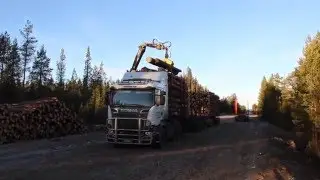 Huge 120 tonne Scania logging truck being loaded